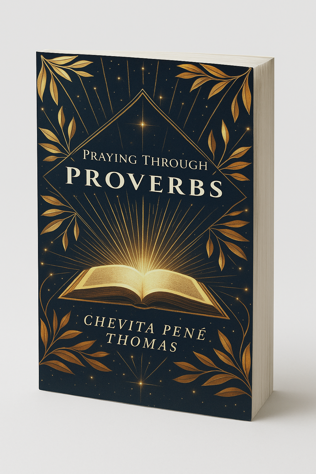 Praying Through Proverbs (Paperback).png (2.45 MB)